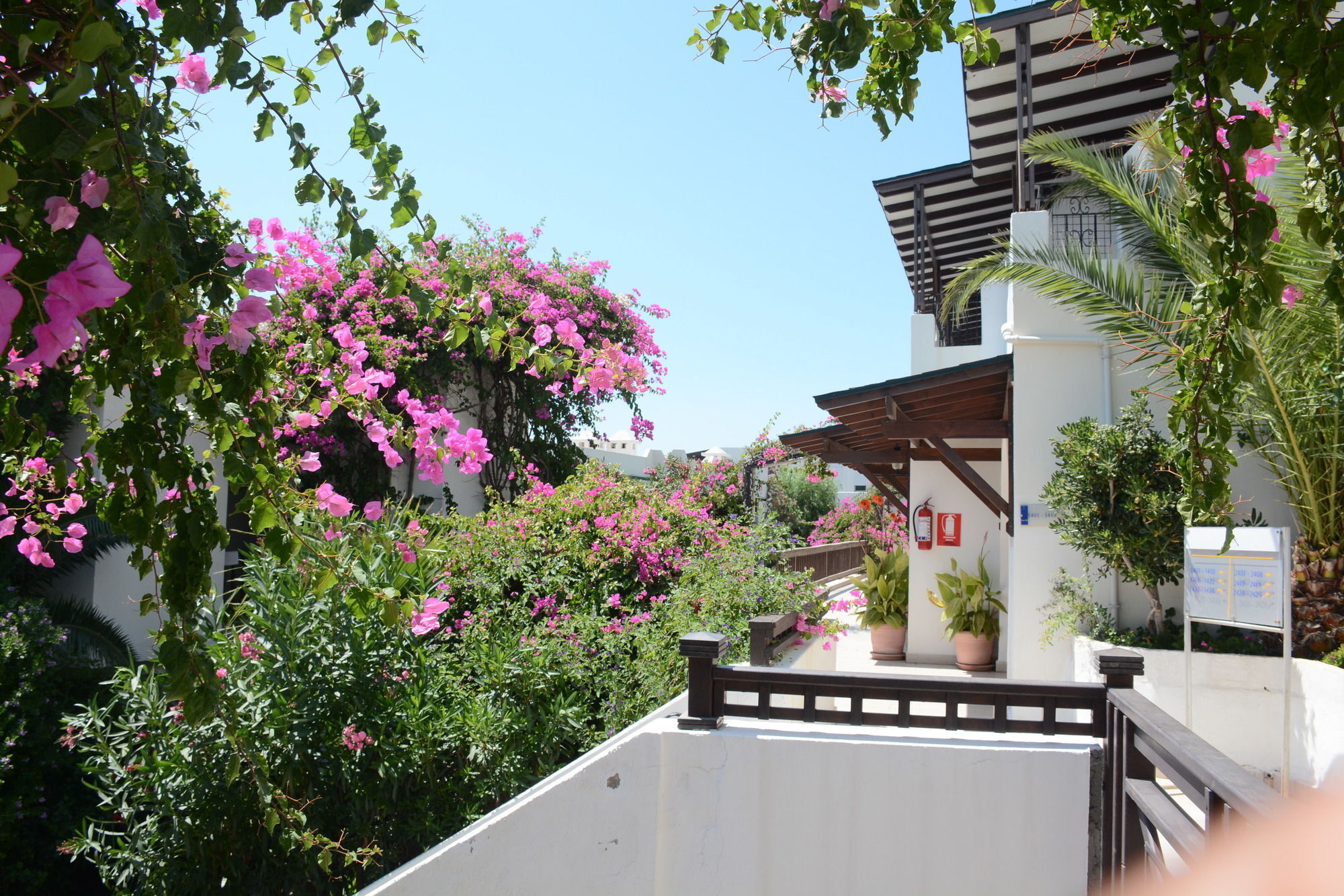 Forever Club (Adults Only) Bodrum Eksteriør billede