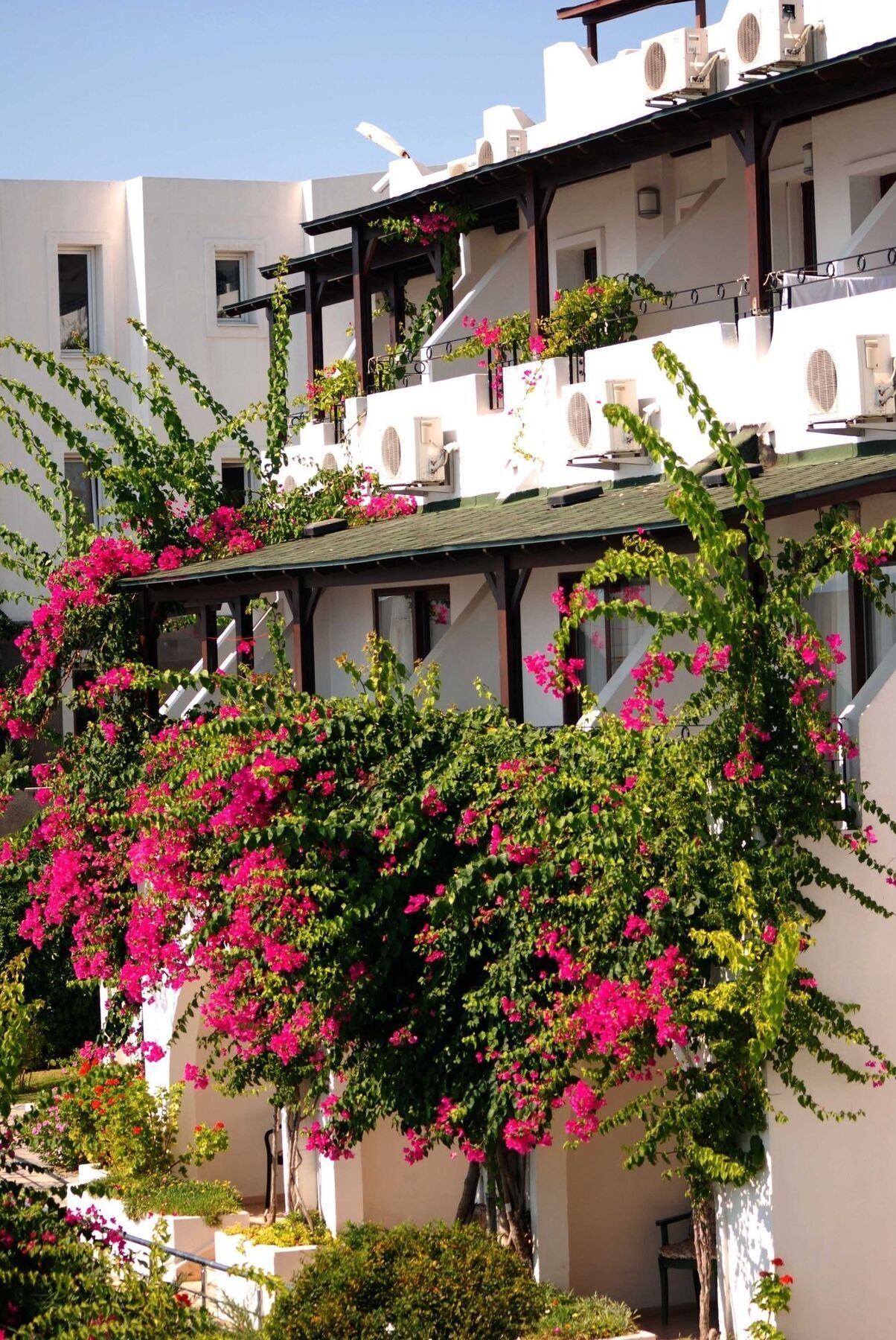 Forever Club (Adults Only) Bodrum Eksteriør billede