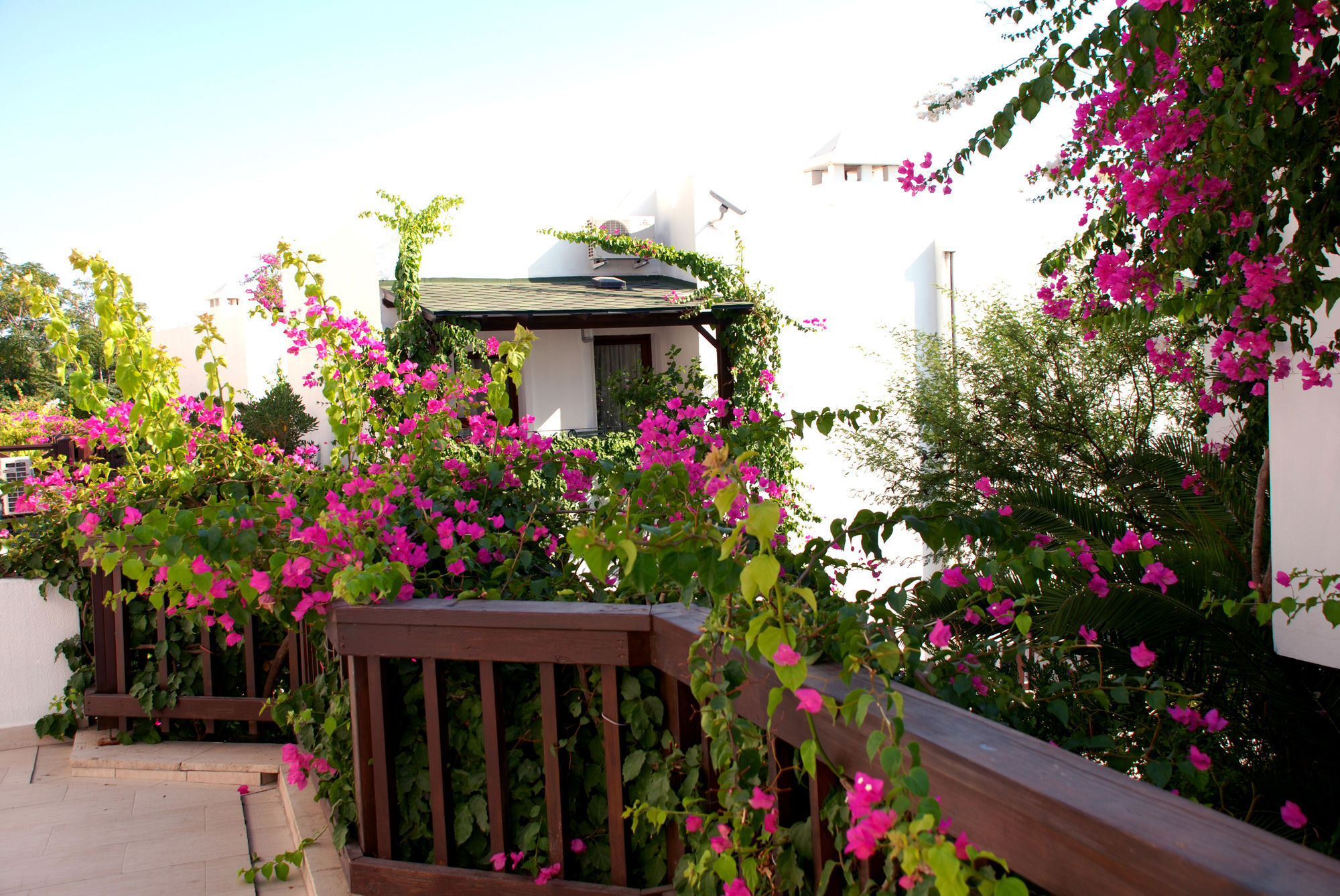 Forever Club (Adults Only) Bodrum Eksteriør billede